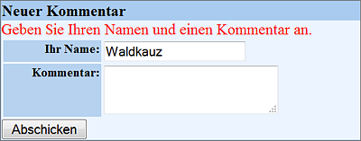 Das Formular mit einer fehlerhaften Eingabe