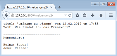 Beispiel einer Meldungsdetailseite