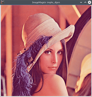 Pillow kann geladene Bilder direkt anzeigen.
Das hier verwendete Bild stammt aus einer Playboy-Ausgabe aus dem Jahre 1972 und hat sich kurz danach zu einem Standardbeispiel in der Bildverarbeitung entwickelt. Das abgebildete schwedische Playmate Lena Söderberg erfuhr erst viel später von seiner Popularität in der Wissenschaft.